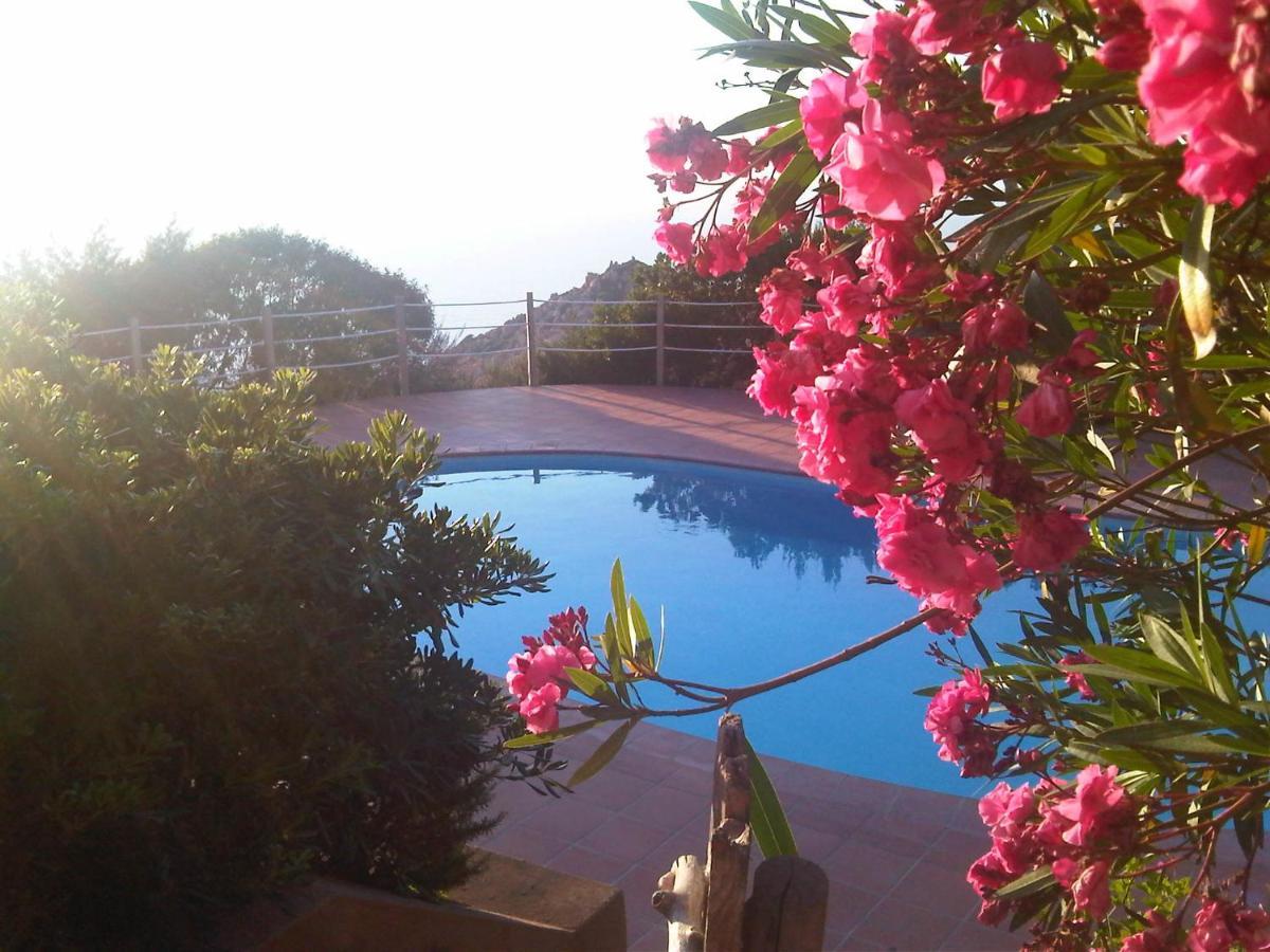 Domus De Janas Villa Costa Paradiso Exteriör bild
